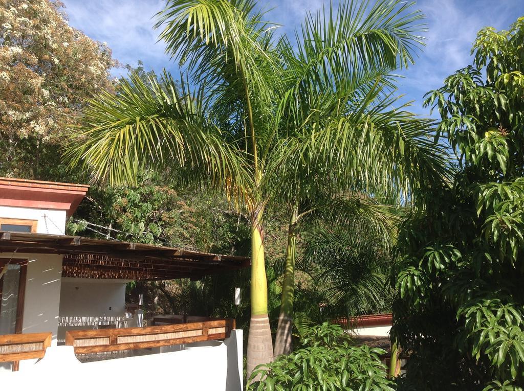 Casa Flor De Mar Hotel Zipolite Bagian luar foto